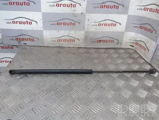 artARA16056 Амортизатор крышки багажника (3-5 двери) Ford Fiesta 5 Арт ARA16056, вид 1
