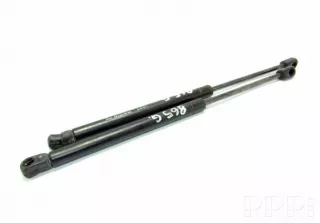 96540939 , artRAM59768 Амортизатор крышки багажника (3-5 двери) Chevrolet Kalos Арт RAM59768, вид 1