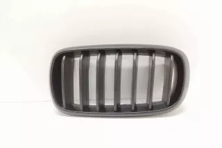 7316075, 7316057, 7316053 , art9763153 Заглушка (решетка) в бампер передний BMW X5 F85 Арт 9763153, вид 1