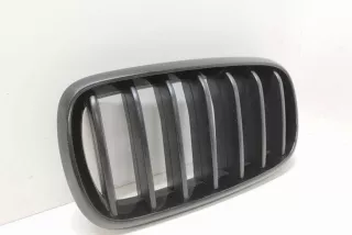 7316075, 7316057, 7316053 , art9763153 Заглушка (решетка) в бампер передний BMW X5 F85 Арт 9763153, вид 3