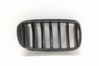 7316075, 7316057, 7316053 , art9763153 Заглушка (решетка) в бампер передний BMW X5 F85 Арт 9763153, вид 8