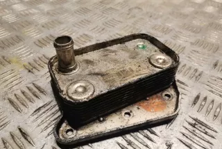 6111880301 , art5558667 Радиатор масляный Mercedes C W203 Арт 5558667, вид 1