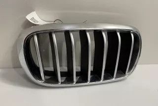 7316076 , art3064054 Заглушка (решетка) в бампер передний BMW X5 F85 Арт 3064054, вид 1