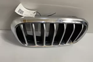 7316076 , art3064054 Заглушка (решетка) в бампер передний BMW X5 F85 Арт 3064054, вид 2