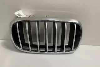 7316076 , art3064054 Заглушка (решетка) в бампер передний BMW X5 F85 Арт 3064054, вид 6