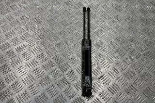 7129190 , art9507988 Амортизатор капота BMW 3 E90/E91/E92/E93 Арт 9507988, вид 1