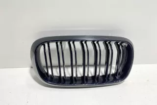 art4122598 Заглушка (решетка) в бампер передний BMW X5 F85 Арт 4122598, вид 1