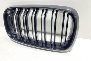 art4122598 Заглушка (решетка) в бампер передний BMW X5 F85 Арт 4122598, вид 4