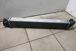 197105AAA01, 197105AA , art425068 Интеркулер Honda Civic 10 Арт 425068, вид 1