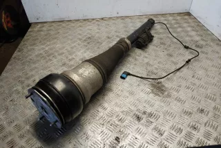 A2223205601, A2223250019 , art509705 Амортизатор задний правый Mercedes S W222 Арт 509705, вид 1