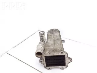 038131513ad , artPAC17558 Охладитель отработанных газов Skoda Octavia A5 restailing Арт PAC17558, вид 1