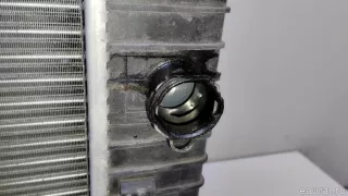 2115002302 Mercedes Benz Радиатор основной Mercedes S W221 Арт E23456584, вид 6