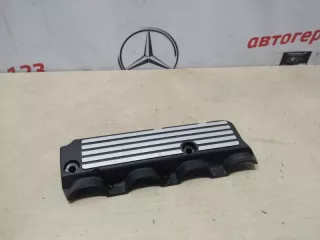11617571703, 7571703 Накладка декоративная BMW X1 E84 Арт 11332, вид 1