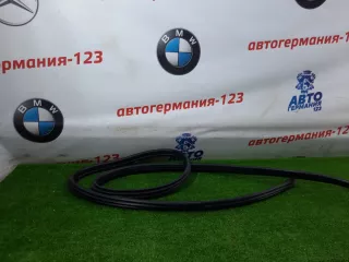 51722993436 Уплотнитель двери BMW X1 E84 Арт 28407, вид 1