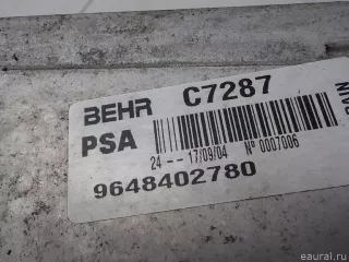 0384H1 Citroen-Peugeot Интеркулер Peugeot 206 2 Арт E51043889, вид 4