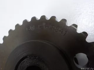 12612841 GM Шкив распредвала Opel Antara Арт E52219995, вид 4