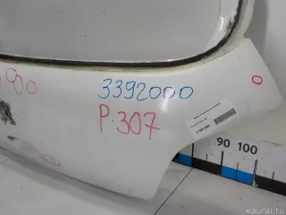 8701S5 Citroen-Peugeot Дверь багажника Peugeot 307 Арт E40593451, вид 8