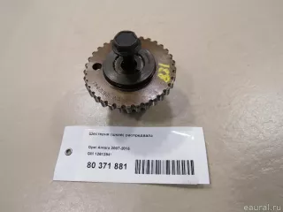 12612841 GM Шестерня (шкив) распредвала Opel Antara Арт E80371881, вид 1