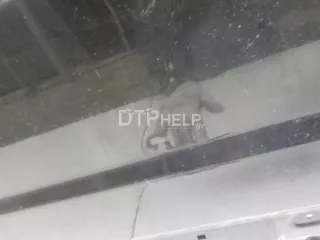 95460131 Дверь задняя правая Opel Antara Арт AM52352482, вид 8