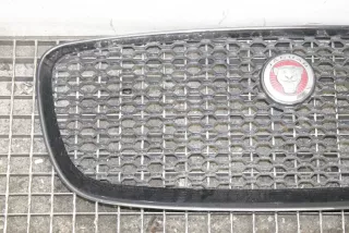 HK83-018K28-AA , art11588814 Решетка радиатора Jaguar F-Pace Арт 11588814, вид 2
