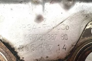 9672188780, B05RNZ14 , art11349317 Тепловой экран глушителя Peugeot 508 Арт 11349317, вид 5