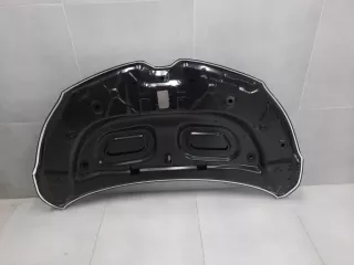 STRN160150CN Капот Renault Kaptur Арт ZAP326157, вид 2