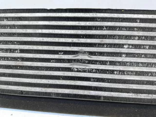 302000507AA Интеркулер EXEED TXL Restailing Арт lz217284, вид 6