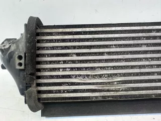302000507AA Интеркулер EXEED TXL Restailing Арт lz217284, вид 9
