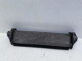 302000507AA Интеркулер EXEED TXL Restailing Арт lz217284, вид 10