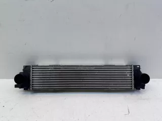 8890923812 Интеркулер Geely Monjaro Арт lz217285, вид 1