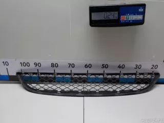 51117176282 BMW Заглушка (решетка) в бампер передний BMW X6 E71/E72 Арт E51526039, вид 7