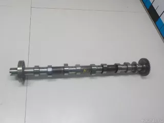 1300100Q0A Nissan Распредвал выпускной Nissan Qashqai 2 restailing Арт E51906802, вид 3