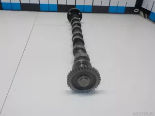 1300100Q0A Nissan Распредвал выпускной Nissan Qashqai 2 restailing Арт E51906802, вид 9