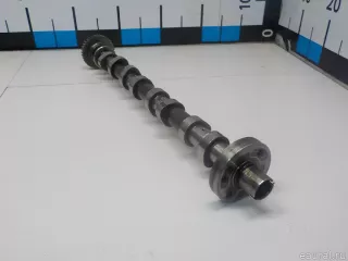 1300100Q0A Nissan Распредвал выпускной Nissan Qashqai 2 restailing Арт E51906802, вид 10