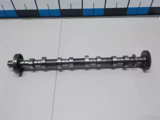 1300100Q0H Nissan Распредвал выпускной Nissan Qashqai 2 restailing Арт E52198539, вид 1
