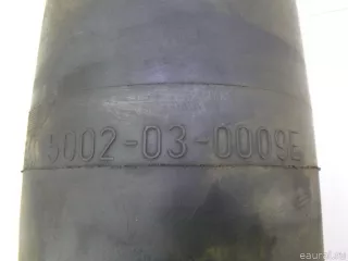  Воздушная подушка (опора пневматическая) MAN F2000 Арт E4113402, вид 6