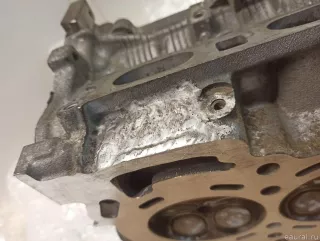 11040ED80B Nissan Головка блока цилиндров Renault Latitude Арт E90297876, вид 13