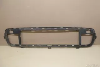 51117171348 BMW Рамка решетки в бампер BMW X5 E70 Арт E21477054, вид 1