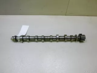1300100Q0C Nissan Распредвал впускной Nissan Qashqai 2 restailing Арт E22367265, вид 3