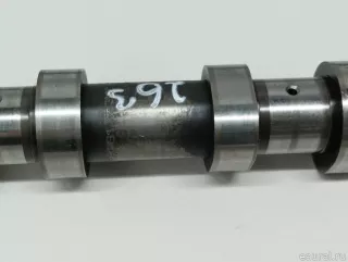 1300100Q0C Nissan Распредвал впускной Nissan Qashqai 2 restailing Арт E103013263, вид 6