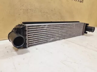 2074056300, 6600001987 интеркулер Geely Coolray Арт DN162743, вид 2