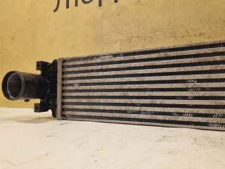 2074056300, 6600001987 интеркулер Geely Coolray Арт DN162743, вид 4