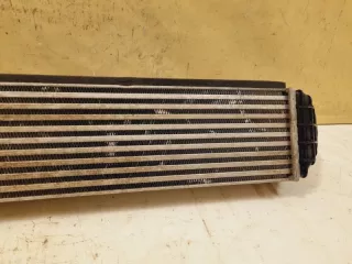 2074056300, 6600001987 интеркулер Geely Coolray Арт DN162743, вид 10