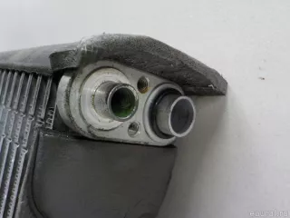 27280JD20B Nissan Испаритель кондиционера Nissan Qashqai 2 restailing Арт E40381157, вид 2