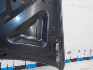 41617486754 BMW Капот BMW X5 E70 Арт E41093398, вид 18