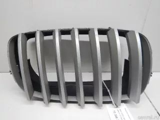 51137185224 BMW Решетка радиатора BMW X6 E71/E72 Арт E70368367, вид 1