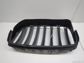 51137185224 BMW Решетка радиатора BMW X6 E71/E72 Арт E70368367, вид 4