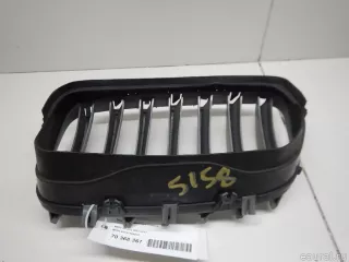 51137185224 BMW Решетка радиатора BMW X6 E71/E72 Арт E70368367, вид 5