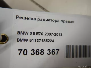 51137185224 BMW Решетка радиатора BMW X6 E71/E72 Арт E70368367, вид 7