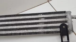 17217519215 BMW Радиатор гидроусилителя BMW 5 E60/E61 Арт E70623833, вид 2